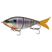 Bluegill Spawn