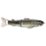 #15 Butch Brown Bass