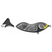 Black Duck
