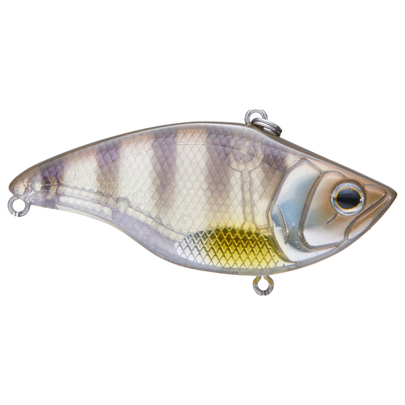 DEPS MS VIBRATION TG