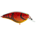 Molting Craw