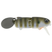MG Bluegill