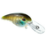 Clear Gill
