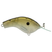 Ghost Shad