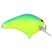 Blueback Chartreuse