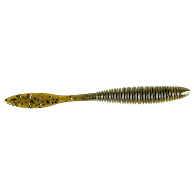 Leeches