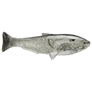 HUDDLESTON DELUXE WEEDLESS SHAD SWIMBAIT-1