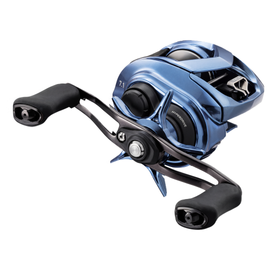 DAIWA COASTAL 80 CASTING REEL