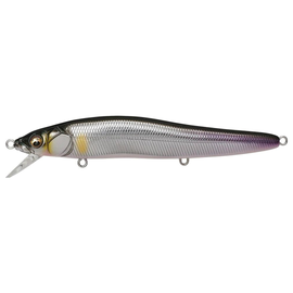 MEGABASS VISION ONE TEN R SERIES