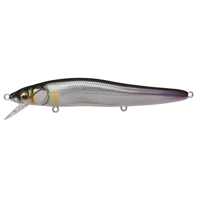 MEGABASS VISION ONE TEN R SERIES