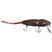 Brown w/ White - Red Tail
