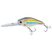 Threadfin Shad