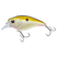 Tennessee Shad
