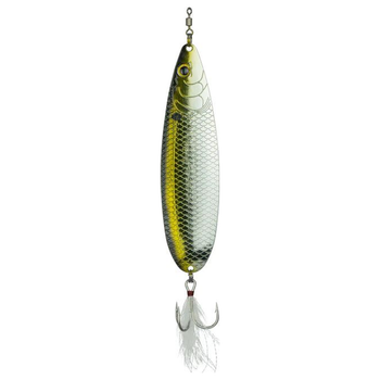 Shad Flash