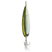 Gizzard Shad