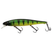 Gold Skin Perch