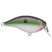 Copper Green Shad