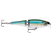 Blue Back Herring