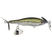 Juvenile Largemouth