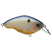 BPB Shad