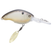 Ghost Shad