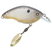 Ghost Shad