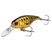 #301 Perch - F