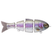Rainbow Trout