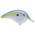 Sexy Shad 2.0