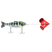 Bluegill/Red