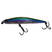 Ghost Minnow