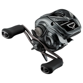 DAIWA 24 TATULA SV TW 100