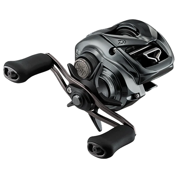 DAIWA 24 TATULA SV TW 100
