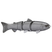 Silver Fish