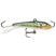 Bluegill