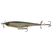 Ghost Bone Minnow