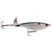 Shad Scales
