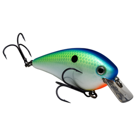 STRIKE KING KVD 2.5 SQUAREBILL