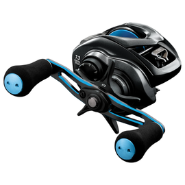DAIWA COASTAL TW 200 25'