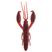 #21 Black & Red Craw