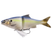 Chartreuse Shad