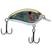 Chrome Olive