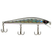 Deadly Black Shad