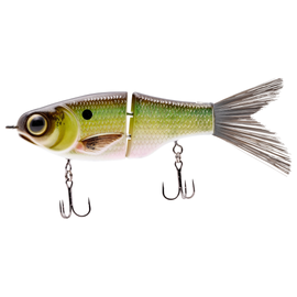 SPRO KGB CHAD SHAD 120 LIL GUY