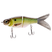 Grand Shad