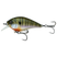 4K Bluegill