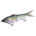 Sexy Shad FB