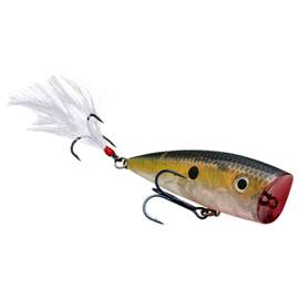 STRIKE KING KVD SPLASH TOPWATER