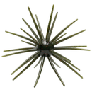 SKINNY BEAR SHAKE'EM UP 10MM/14MM-1