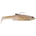 Blackback Shad